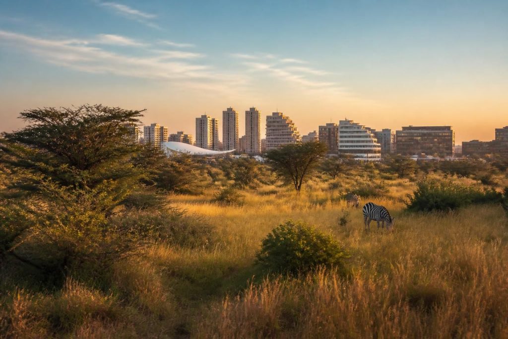 découvrez la savane à valence, un espace naturel unique en plein cœur de la ville, idéal pour se détendre et profiter de la nature sans quitter la métropole.